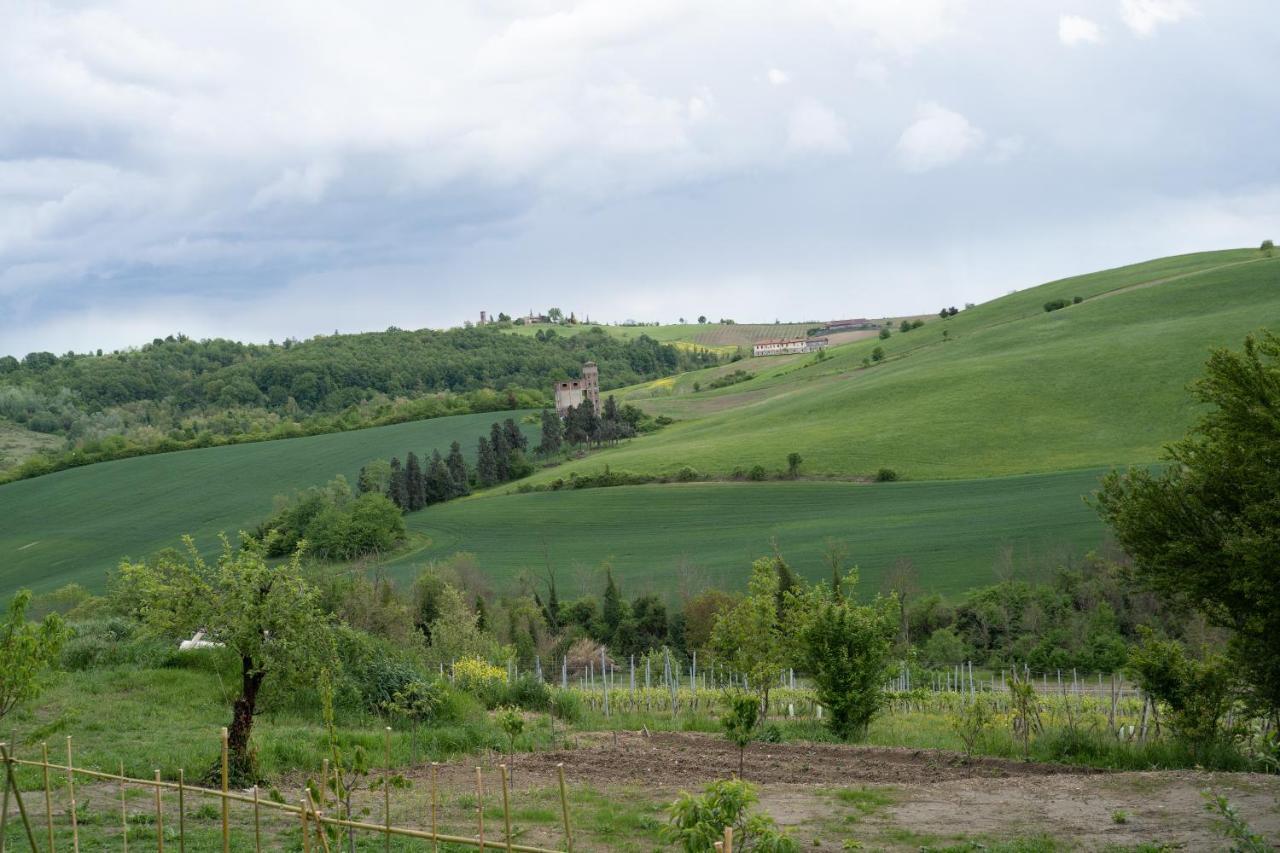 卡萨莱蒙费拉托Cascina Pelizza公寓 外观 照片