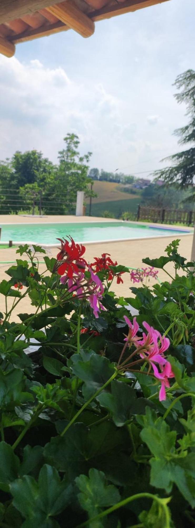 卡萨莱蒙费拉托Cascina Pelizza公寓 外观 照片